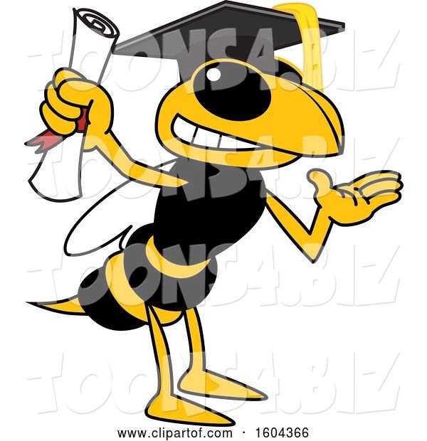 Vector Illustration of a Cartoon Hornet School Mascot Graduate