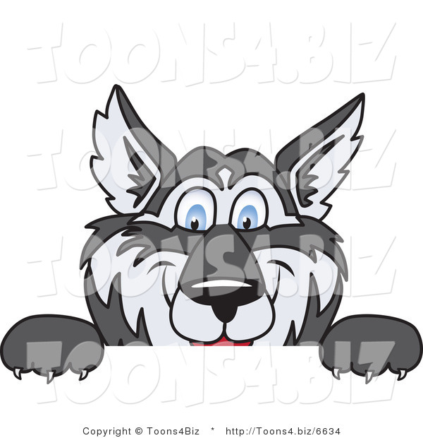 Vector Illustration of a Cartoon Husky Mascot Looking over a Blank Sign