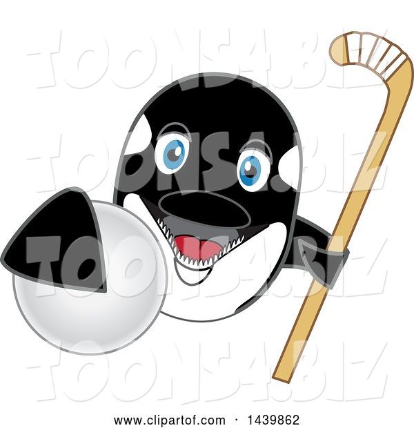 Vector Illustration of a Cartoon Killer Whale Orca Mascot Grabbing a Hockey Ball and Holding a Stick