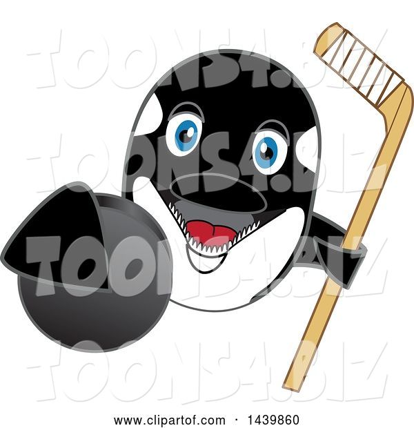 Vector Illustration of a Cartoon Killer Whale Orca Mascot Grabbing a Hockey Puck and Holding a Stick