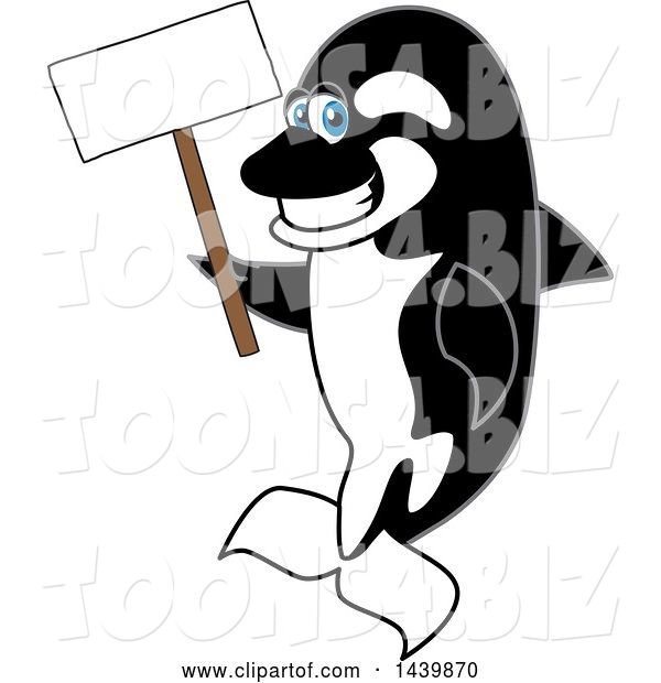 Vector Illustration of a Cartoon Killer Whale Orca Mascot Holding a Blank Sign