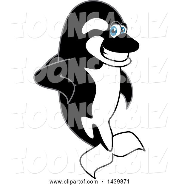 Vector Illustration of a Cartoon Killer Whale Orca Mascot Leaning