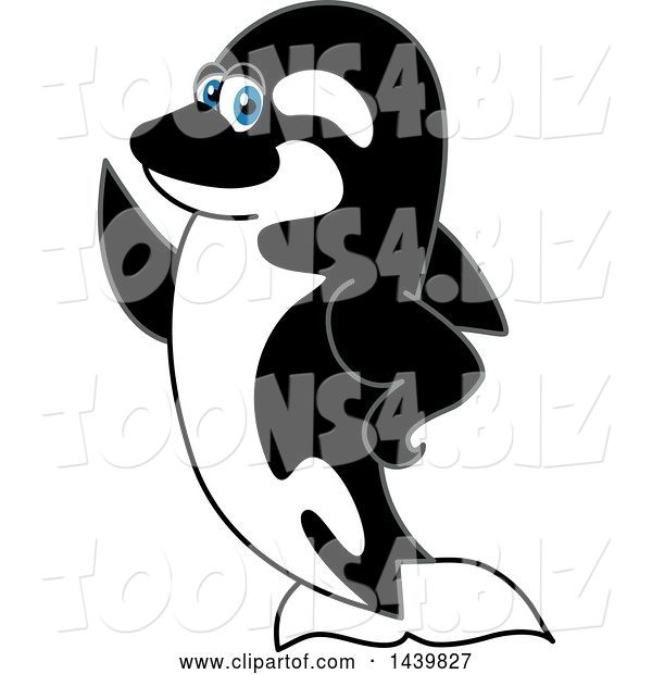 Vector Illustration of a Cartoon Killer Whale Orca Mascot Presenting or Waving