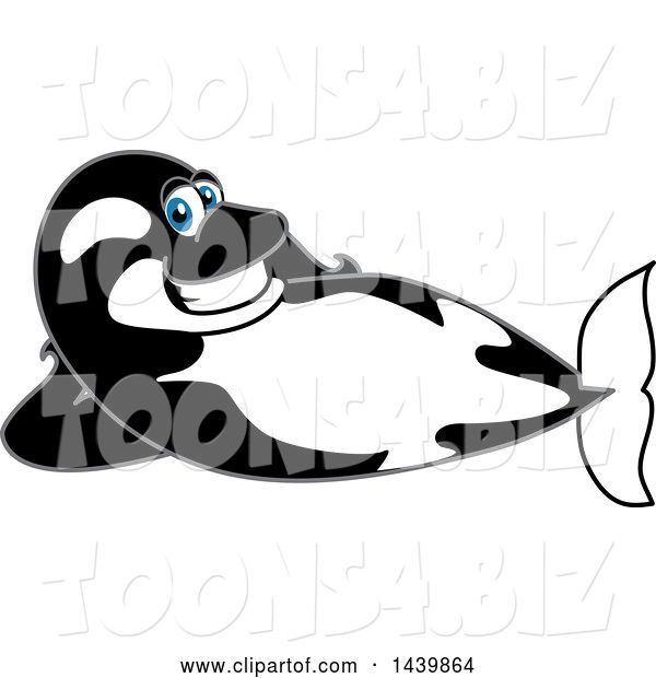Vector Illustration of a Cartoon Killer Whale Orca Mascot Relaxing