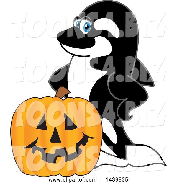 Vector Illustration of a Cartoon Killer Whale Orca Mascot with a Halloween Pumpkin