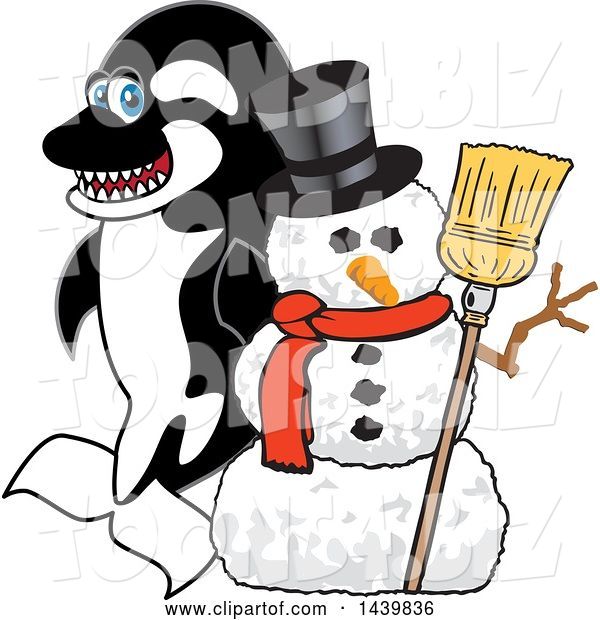 Vector Illustration of a Cartoon Killer Whale Orca Mascot with a Snowman