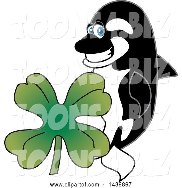 Vector Illustration of a Cartoon Killer Whale Orca Mascot with a St Patricks Day Clover