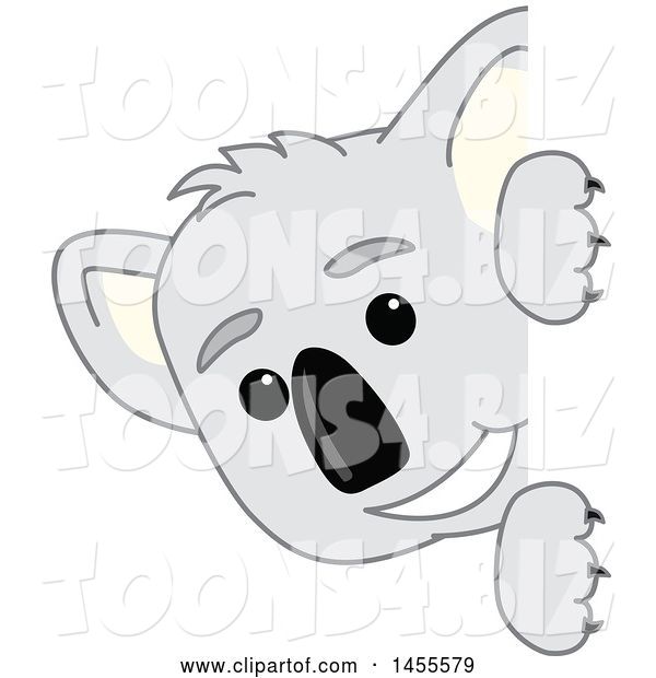 Vector Illustration of a Cartoon Koala Bear Mascot Peeking Around a Sign
