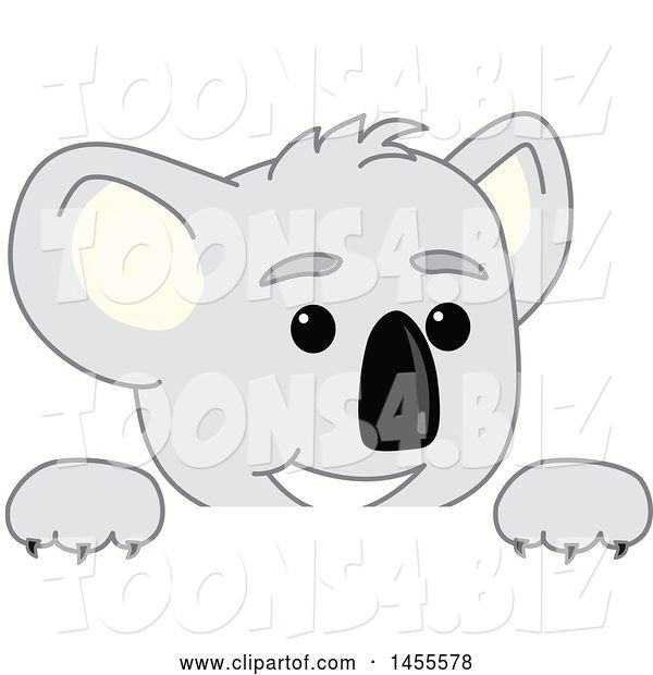 Vector Illustration of a Cartoon Koala Bear Mascot Peeking over a Sign