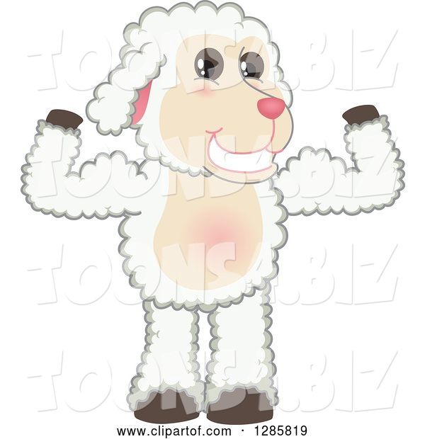 Vector Illustration of a Cartoon Lamb Mascot Flexing His Muscles