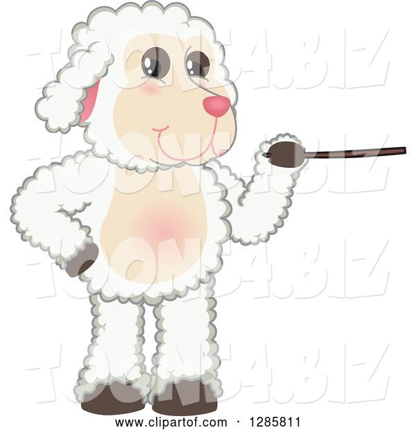 Vector Illustration of a Cartoon Lamb Mascot Using a Pointer Stick