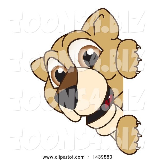 Vector Illustration of a Cartoon Lion Cub School Mascot Looking Around a Sign