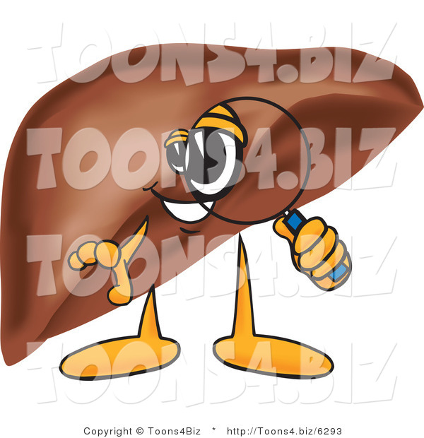 Vector Illustration of a Cartoon Liver Mascot Using a Magnifying Glass