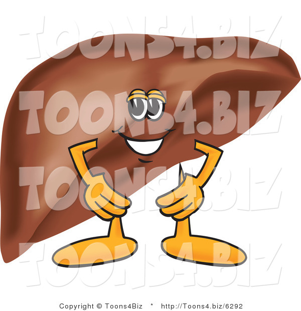 Vector Illustration of a Cartoon Liver Mascot with His Hands on His Hips