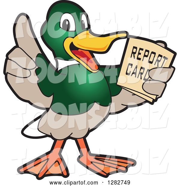 Vector Illustration of a Cartoon Mallard Duck School Mascot Holding a Report Card