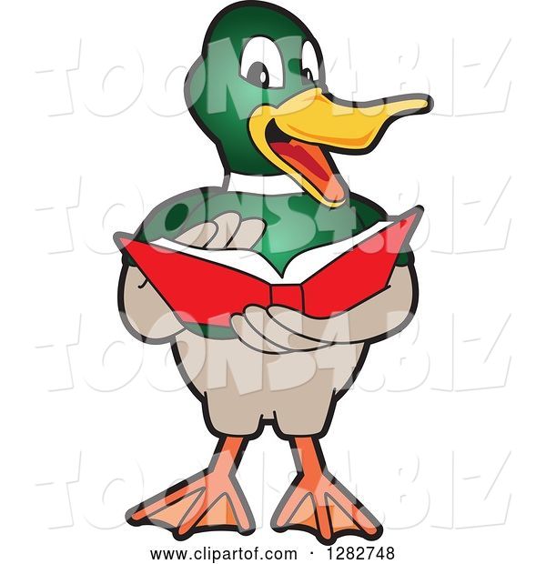Vector Illustration of a Cartoon Mallard Duck School Mascot Reading a Book