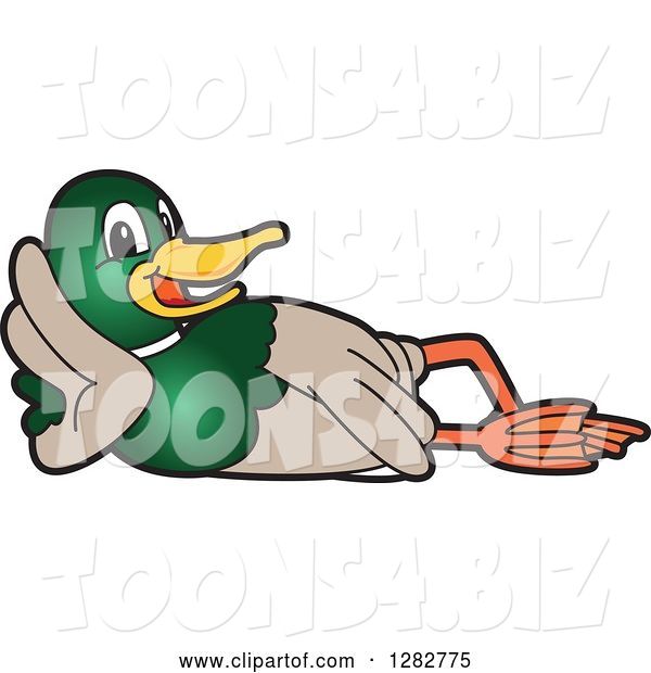 Vector Illustration of a Cartoon Mallard Duck School Mascot Resting on His Side