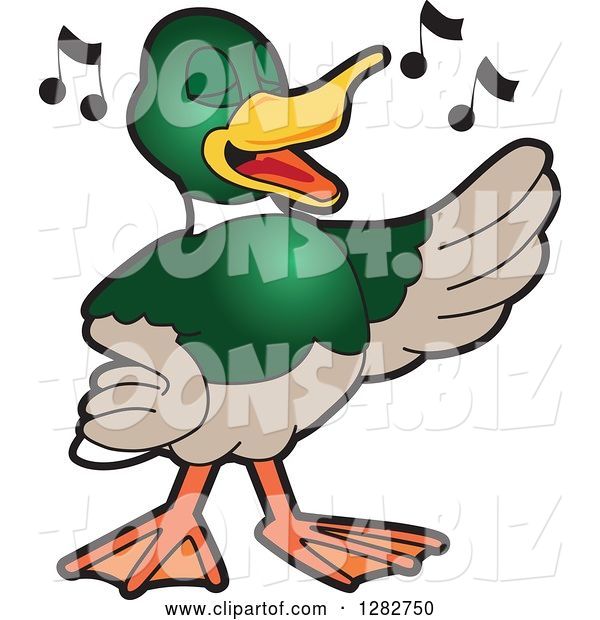 Vector Illustration of a Cartoon Mallard Duck School Mascot Singing in Chorus