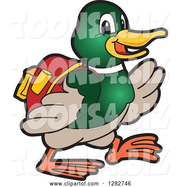 Vector Illustration of a Cartoon Mallard Duck School Mascot Student Walking