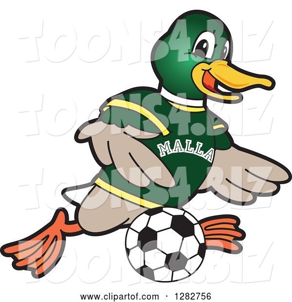 Vector Illustration of a Cartoon Mallard Duck School Sports Mascot Playing Soccer