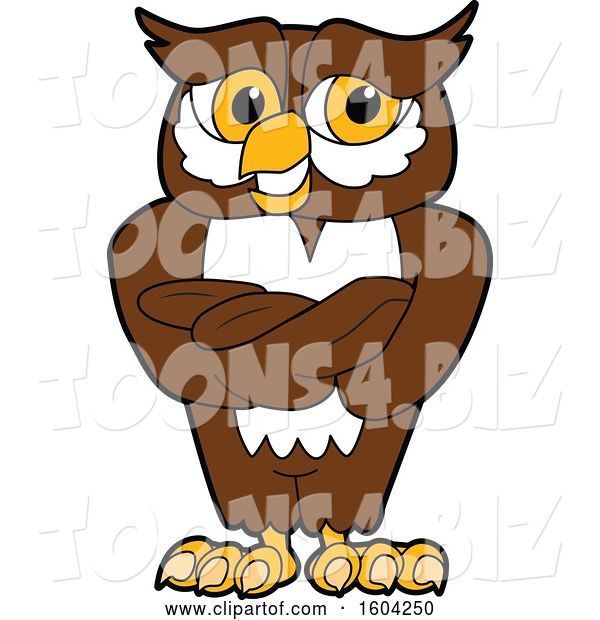 Vector Illustration of a Cartoon Owl School Mascot with Folded Arms