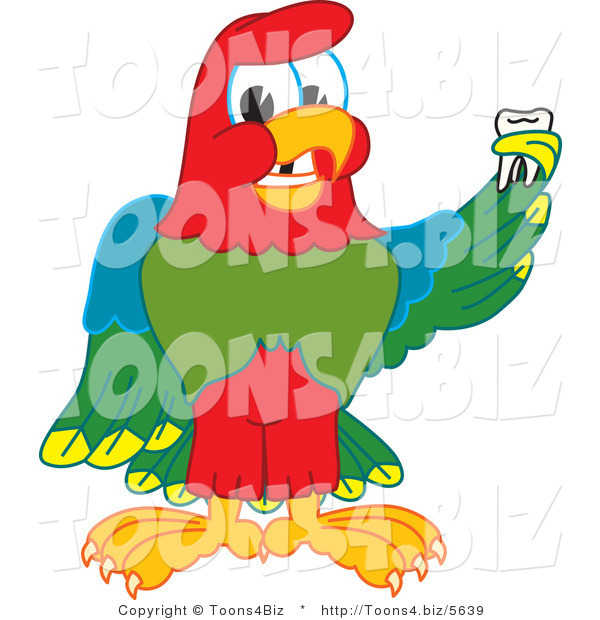 Vector Illustration of a Cartoon Parrot Mascot Holding a Missing Tooth