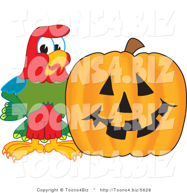 Vector Illustration of a Cartoon Parrot Mascot with a Pumpkin