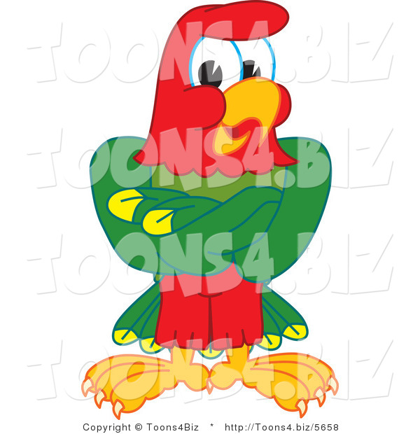 Vector Illustration of a Cartoon Parrot Mascot with His Wings Crossed