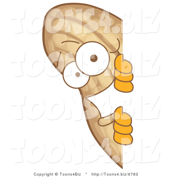 Vector Illustration of a Cartoon Peanut Mascot Looking Around a Blank Sign