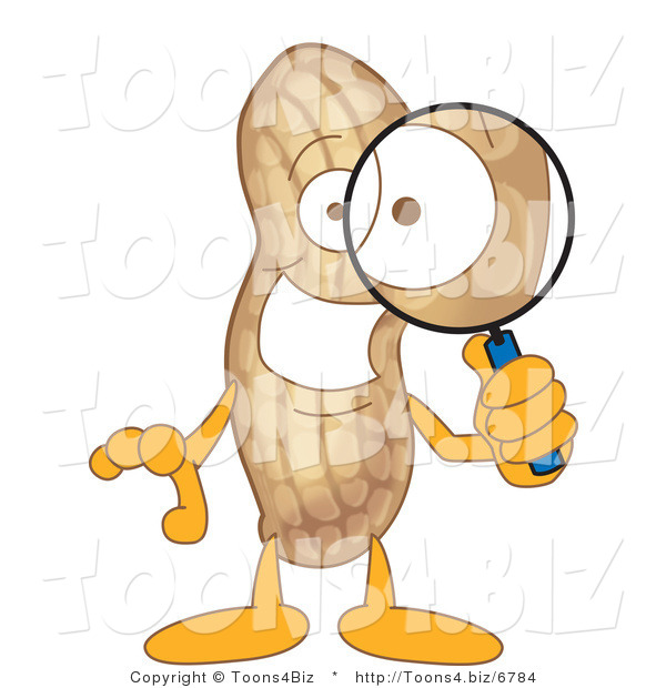 Vector Illustration of a Cartoon Peanut Mascot Using a Magnifying Glass