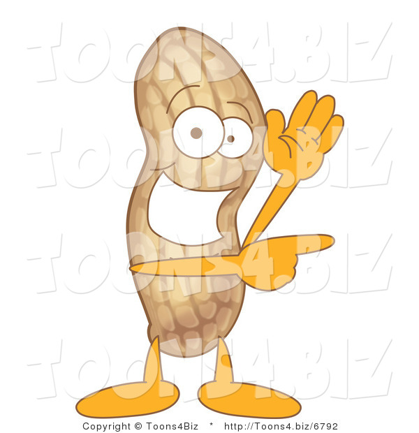 Vector Illustration of a Cartoon Peanut Mascot Waving and Pointing