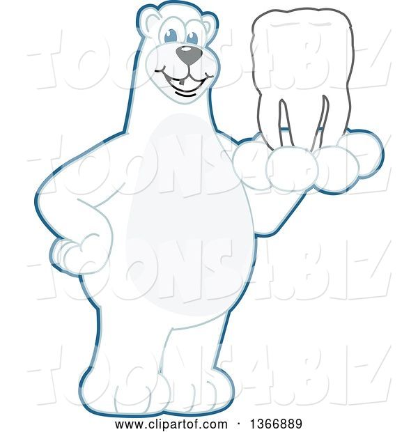 Vector Illustration of a Cartoon Polar Bear School Mascot Holding a Tooth