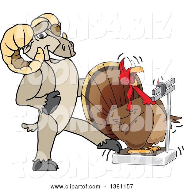 Vector Illustration of a Cartoon Ram Mascot Tricking a Turkey Standing on a Scale