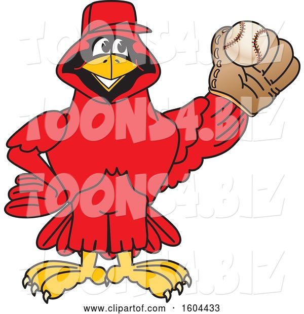 Vector Illustration of a Cartoon Red Cardinal Bird Mascot Baseball Player