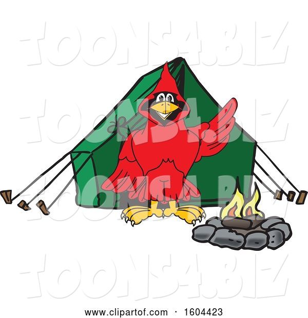 Vector Illustration of a Cartoon Red Cardinal Bird Mascot Camping