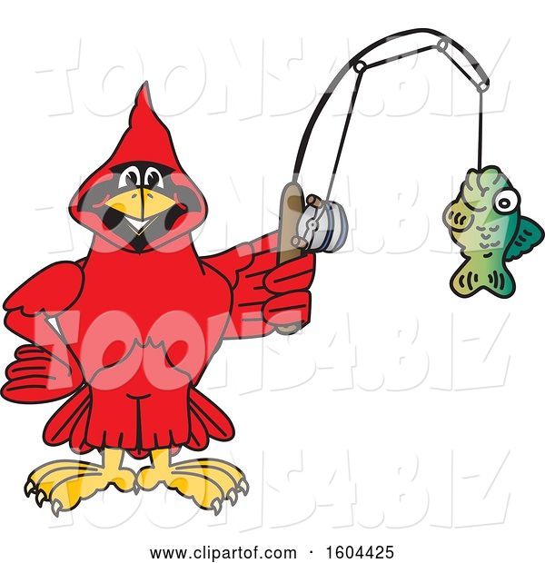 Vector Illustration of a Cartoon Red Cardinal Bird Mascot Fishing