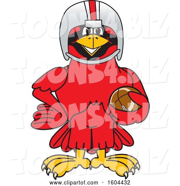 Vector Illustration of a Cartoon Red Cardinal Bird Mascot Football Player