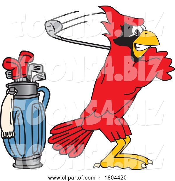 Vector Illustration of a Cartoon Red Cardinal Bird Mascot Golfing