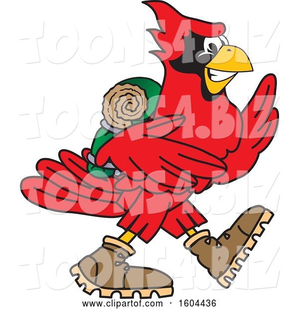 Vector Illustration of a Cartoon Red Cardinal Bird Mascot Hiking