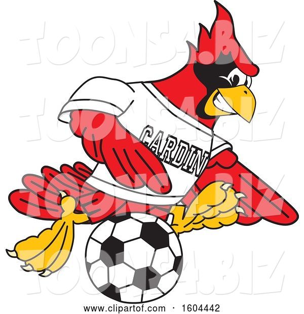 Vector Illustration of a Cartoon Red Cardinal Bird Mascot Playing Soccer