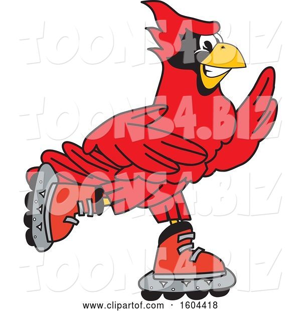 Vector Illustration of a Cartoon Red Cardinal Bird Mascot Roller Blading