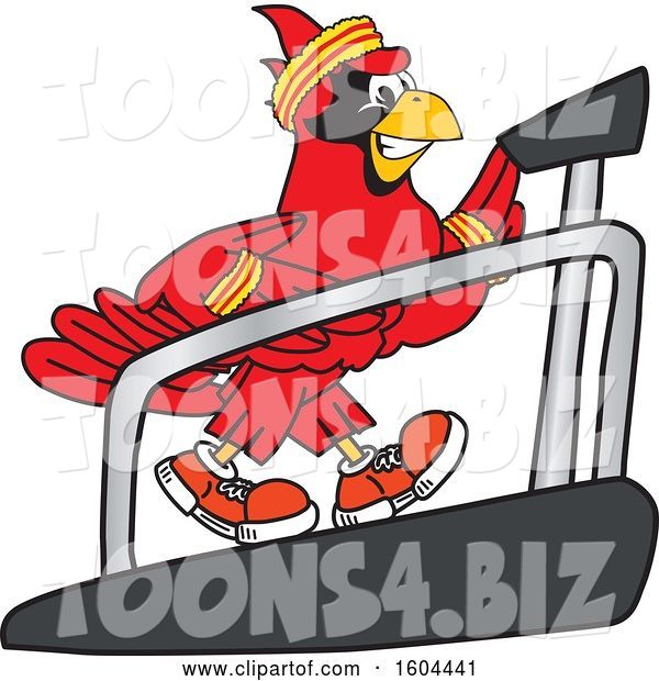 Vector Illustration of a Cartoon Red Cardinal Bird Mascot Running on a Treadmill