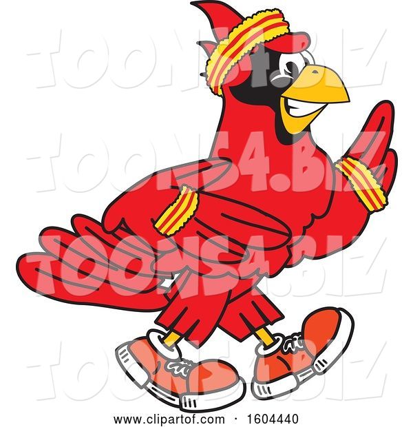 Vector Illustration of a Cartoon Red Cardinal Bird Mascot Running or Jogging