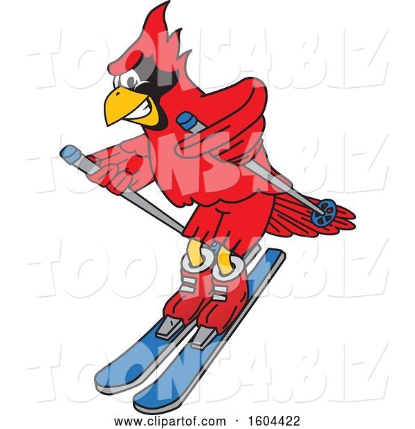 Vector Illustration of a Cartoon Red Cardinal Bird Mascot Skiing