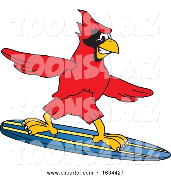 Vector Illustration of a Cartoon Red Cardinal Bird Mascot Surfing