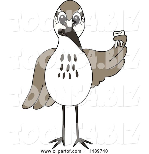 Vector Illustration of a Cartoon Sandpiper Bird School Mascot Holding a Tooth