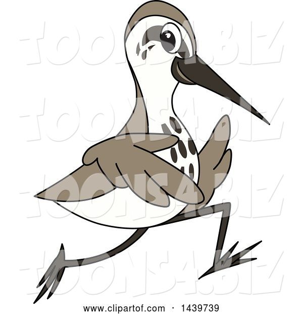 Vector Illustration of a Cartoon Sandpiper Bird School Mascot Running