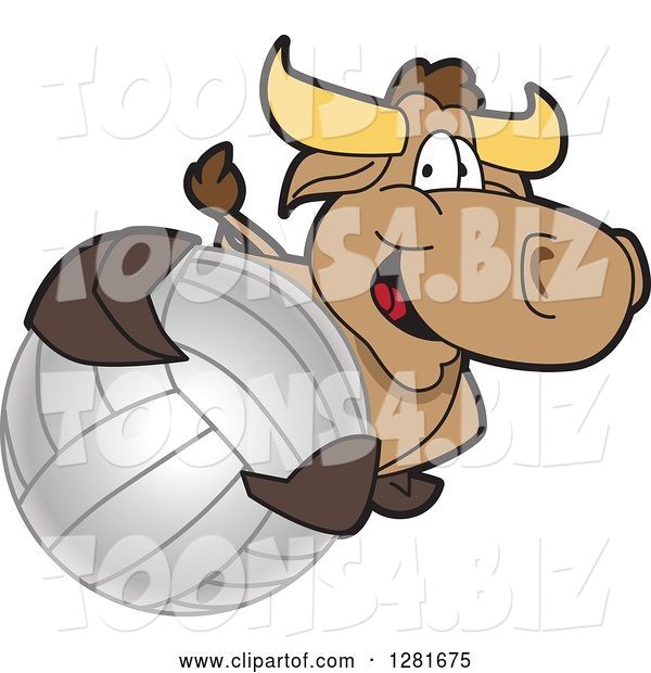 Vector Illustration of a Cartoon School Bull Mascot Holding up or Catching a Volleyball