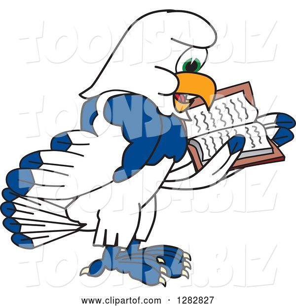 Vector Illustration of a Cartoon Seahawk Mascot Facing Right and Reading a Book