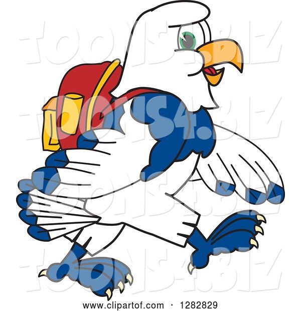Vector Illustration of a Cartoon Seahawk Mascot Student Walking